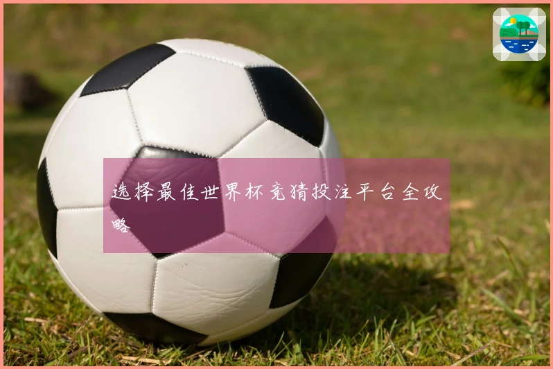 选择最佳世界杯竞猜投注平台全攻略