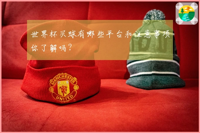 世界杯买球有哪些平台和注意事项你了解吗？