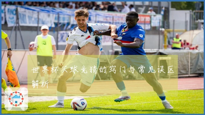 世界杯买球竞猜的窍门与常见误区解析