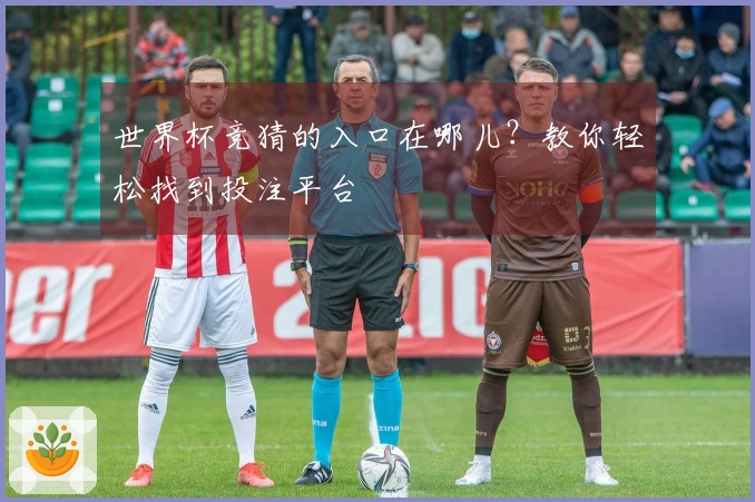 世界杯竞猜的入口在哪儿？教你轻松找到投注平台