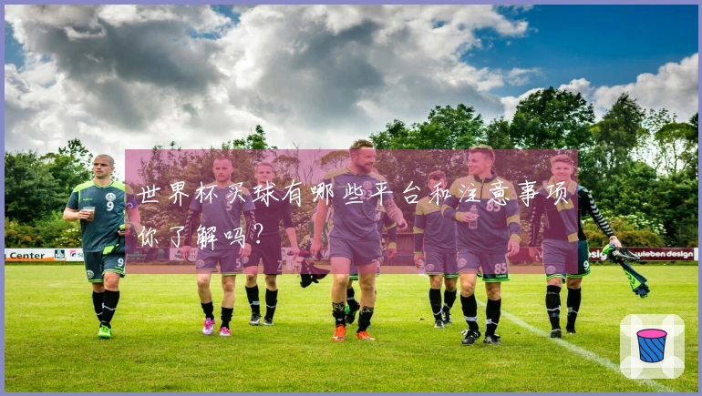世界杯买球有哪些平台和注意事项你了解吗？