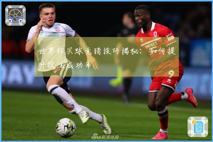 世界杯买球竞猜技巧揭秘：如何提升投注成功率