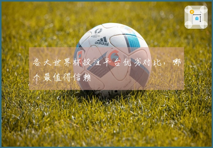 各大世界杯投注平台优劣对比，哪个最值得信赖