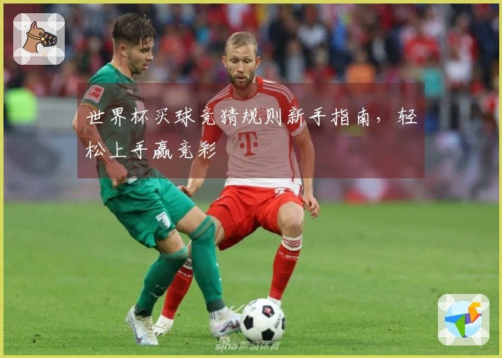 世界杯买球竞猜规则新手指南，轻松上手赢竞彩